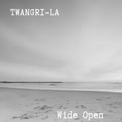 Wide Open - Single by Twangri-La album reviews, ratings, credits