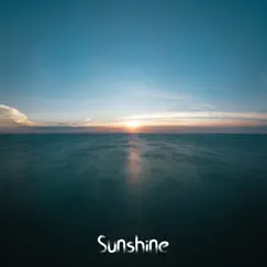 Sunshine - Single by DJ Mathew album reviews, ratings, credits