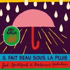 Il fait beau sous la pluie (feat. DjeuhDjoah & Lieutenant Nicholson) - Single by Pat Kalla & Le Super Mojo album reviews, ratings, credits