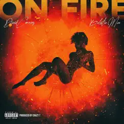 On Fire (feat. Balistic Man) Song Lyrics