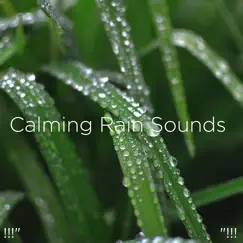 瞑想のための雨の音 Song Lyrics