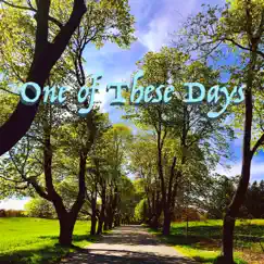 One of These Days - Single by Sam Vaccaro album reviews, ratings, credits