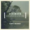 Schumann: Abegg Variations & Papillons album lyrics, reviews, download