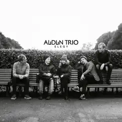Elegy by Audun Trio album reviews, ratings, credits