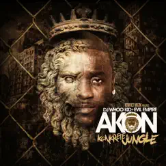 Konkrete Jungle by Akon album reviews, ratings, credits