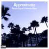 Approximate (Remixes) - Single album lyrics, reviews, download