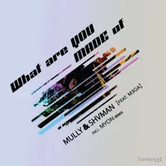 What Are You Made Of - Single by Mully, Shvman & M3GA album reviews, ratings, credits