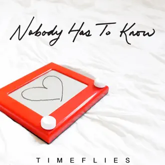 Download Nobody Has to Know Timeflies MP3