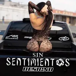 Sin Sentimientos - Single by Designó album reviews, ratings, credits