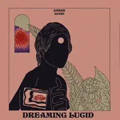 Dreaming Lucid Song Lyrics