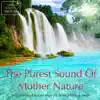 The Purest Sound of Mother Nature – Birds, Ocean Waves, Waterfalls, Rain album lyrics, reviews, download