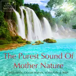 Healing Water Stream of Life For Meditation, Yoga, Massage Song Lyrics