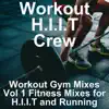 Workout Mixes, Vol. 1: Fitness Mixes for H.I.I.T and Running album lyrics, reviews, download