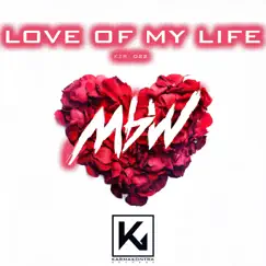 Love of My Life (Radio Edit) Song Lyrics