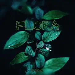 Flora - Single by ILWANA album reviews, ratings, credits