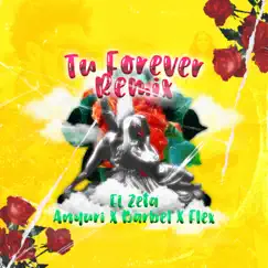 Tu Forever 2 (feat. Flex, Anyuri & Barbel) - Single by El Zeta album reviews, ratings, credits