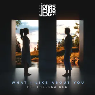 Download What I Like About You (feat. Theresa Rex) Jonas Blue MP3