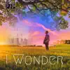 I Wonder - Single album lyrics, reviews, download