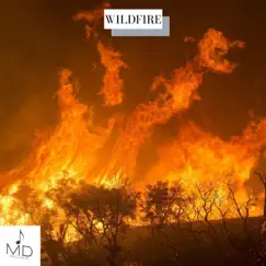 Wildfire - Single by Mdstocksound album reviews, ratings, credits