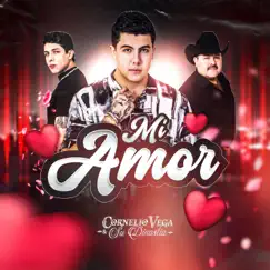 Mi Amor - Single by Cornelio Vega y Su Dinastía album reviews, ratings, credits