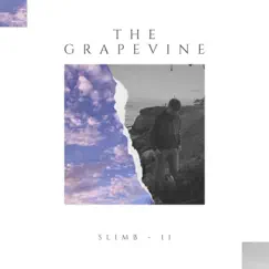 The Grapevine Song Lyrics