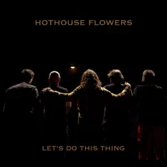 Let's Do This Thing by Hothouse Flowers album reviews, ratings, credits
