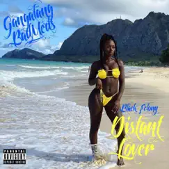 Distant Lover - Single by Black Felony album reviews, ratings, credits