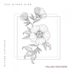 The Other Side (Acoustic Version) - Single by Falling Feathers album reviews, ratings, credits