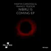 Nibiru Is Coming - Single album lyrics, reviews, download