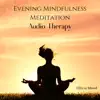 Evening Mindfulness Meditation: Audio Therapy album lyrics, reviews, download
