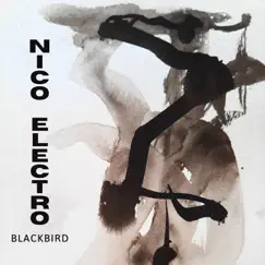 Blackbird - Single by Nico Electro album reviews, ratings, credits