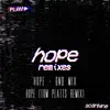 Hope Remixes - Single album lyrics, reviews, download
