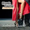 Ofrenda Gaucha: Sentimiento Gaucho (Instrumental) album lyrics, reviews, download