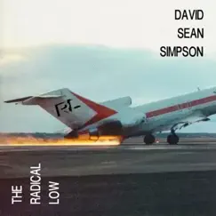 The Radical Low by David Sean Simpson album reviews, ratings, credits
