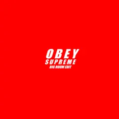 Obey Supreme (Big Room Edit) Song Lyrics