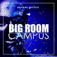 Big Room Campus, Vol. 4 by Various Artists album reviews, ratings, credits