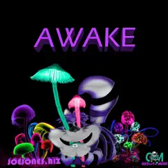 Awake - Single by Joejones.biz album reviews, ratings, credits