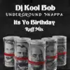 Its Yo Birthday (Ruff Mix) - Single album lyrics, reviews, download