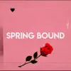 Spring Bound - Single album lyrics, reviews, download