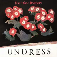 Undress by The Felice Brothers album reviews, ratings, credits