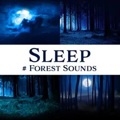 Sleep: # Forest Sounds by Relaxing Nature Sounds Collection, Meditation Music Zone & Deep Sleep Hypnosis Masters album reviews, ratings, credits