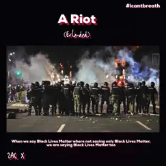 A Riot (Extended) - Single by ZAC X album reviews, ratings, credits