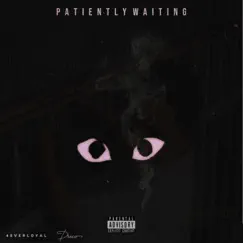 Patiently Waiting - Single by Dreco album reviews, ratings, credits