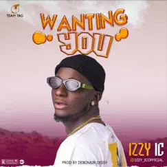 Wanting You - Single by IzzyIc album reviews, ratings, credits