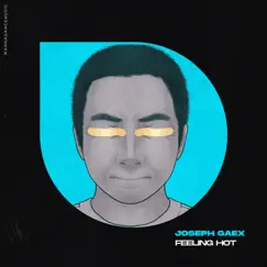 Feeling Hot - Single by Joseph Gaex album reviews, ratings, credits