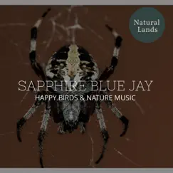 Sapphire Blue Jay - Happy Birds & Nature Music by Sleepy Times, Deep Sleep Music Collective & Deep Sleep Relaxation album reviews, ratings, credits