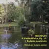 M. Bruch: 6 Klavierstücke, Op​. ​12: I. Andante sostenuto - Single album lyrics, reviews, download