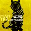 Mind Instrument: Mantra album lyrics, reviews, download