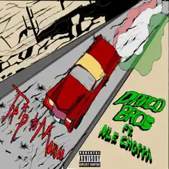 Trip to Mexico (feat. NLE Choppa) - Single by Draco Bros album reviews, ratings, credits