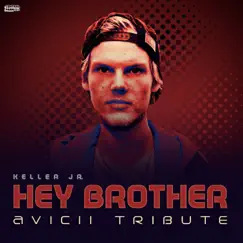 Hey Brother (feat. Acoustic Covers) Song Lyrics